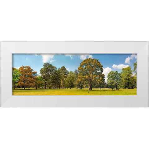 Trees in a Park White Modern Wood Framed Art Print by Pangea Images