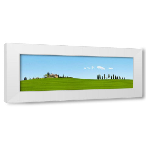 Strada del Brunello-Tuscany (detail) White Modern Wood Framed Art Print by Pangea Images