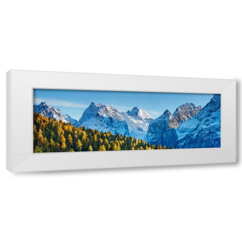 Larch forest and Cima bel Pra, Italy White Modern Wood Framed Art Print by Krahmer, Frank