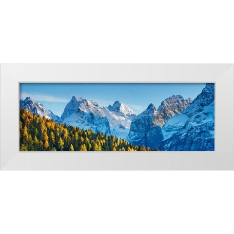 Larch forest and Cima bel Pra, Italy White Modern Wood Framed Art Print by Krahmer, Frank