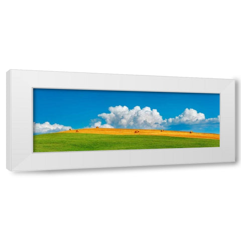 Corn field harvested, Tuscany, Italy White Modern Wood Framed Art Print by Krahmer, Frank