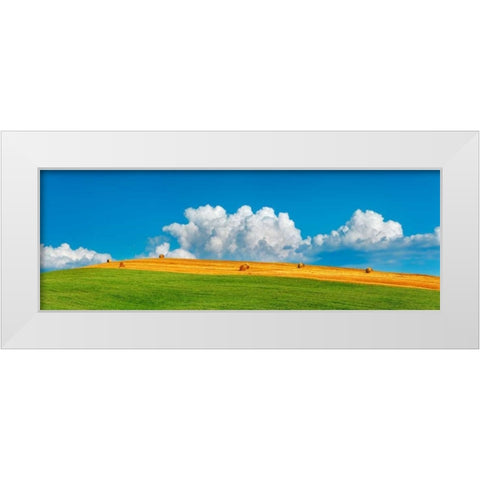 Corn field harvested, Tuscany, Italy White Modern Wood Framed Art Print by Krahmer, Frank