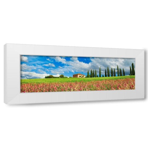 Landscape with cypress alley and sainfoins- San Quirico dOrcia- Tuscany White Modern Wood Framed Art Print by Krahmer, Frank