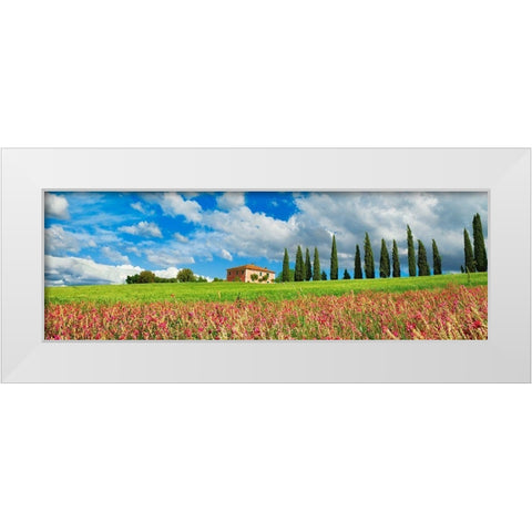 Landscape with cypress alley and sainfoins- San Quirico dOrcia- Tuscany White Modern Wood Framed Art Print by Krahmer, Frank