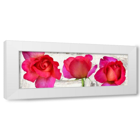 Spring Roses White Modern Wood Framed Art Print by Thomlinson, Jenny