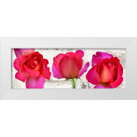 Spring Roses White Modern Wood Framed Art Print by Thomlinson, Jenny