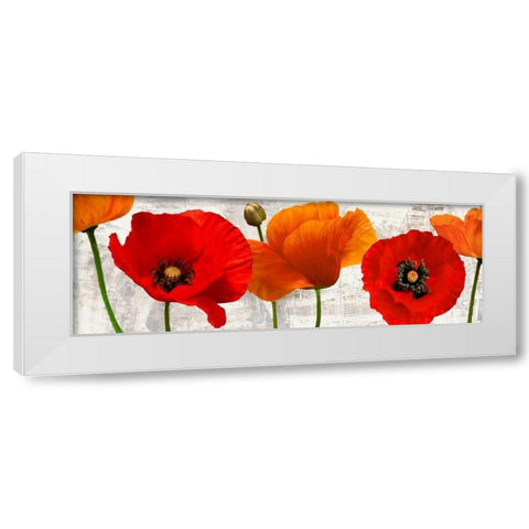 Summer Poppies White Modern Wood Framed Art Print by Thomlinson, Jenny