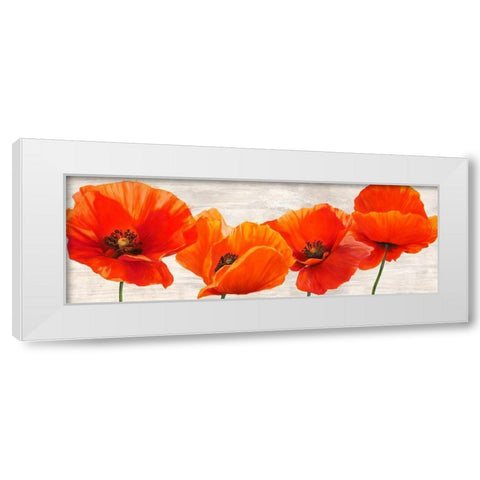 Bright Poppies White Modern Wood Framed Art Print by Jenny, Thomlinson