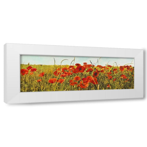 Poppy Field White Modern Wood Framed Art Print by Villa, Luca