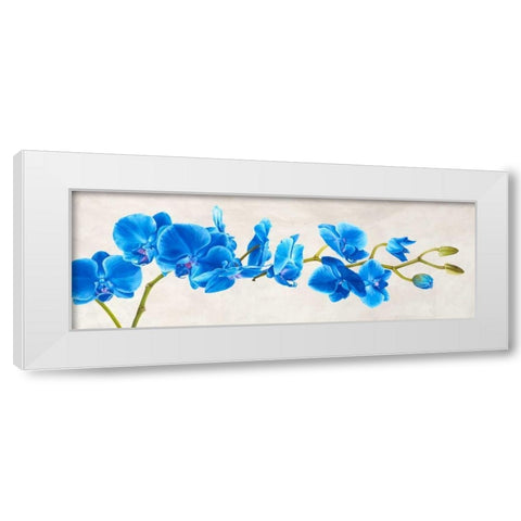 Blue Orchid White Modern Wood Framed Art Print by Mills, Shin