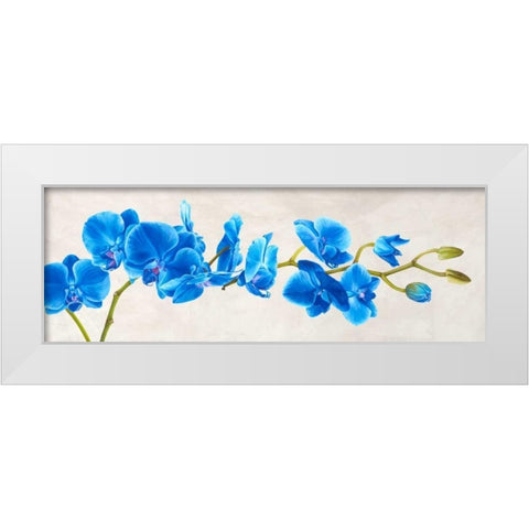Blue Orchid White Modern Wood Framed Art Print by Mills, Shin
