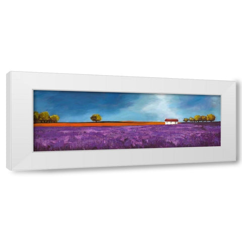 Field of lavender White Modern Wood Framed Art Print by Bloom, Philip