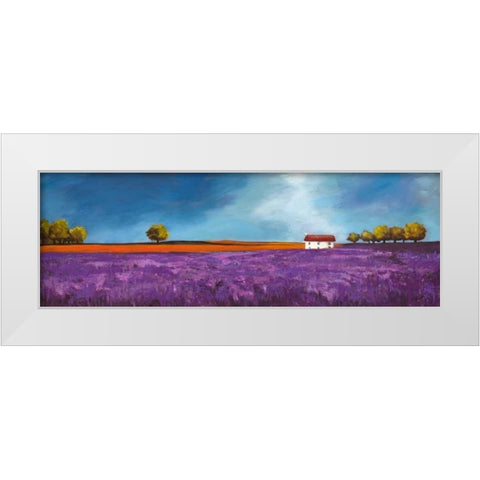 Field of lavender White Modern Wood Framed Art Print by Bloom, Philip