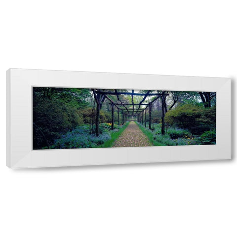 Garden path Old Westbury Gardens Long Island White Modern Wood Framed Art Print by Berenholtz, Richard