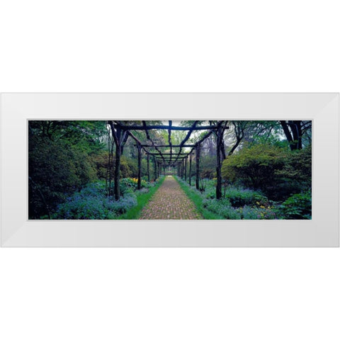 Garden path Old Westbury Gardens Long Island White Modern Wood Framed Art Print by Berenholtz, Richard