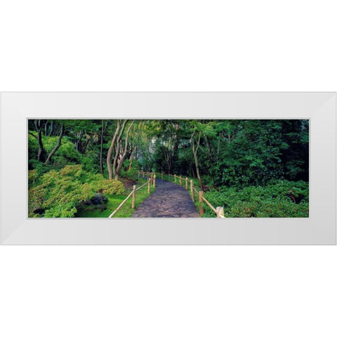 Tea Garden Walkway San Francisco Botanical Gardens White Modern Wood Framed Art Print by Berenholtz, Richard