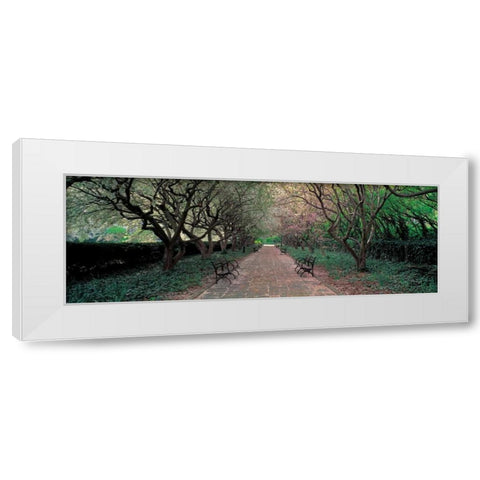Through Conservatory Garden Central Park NYC White Modern Wood Framed Art Print by Berenholtz, Richard