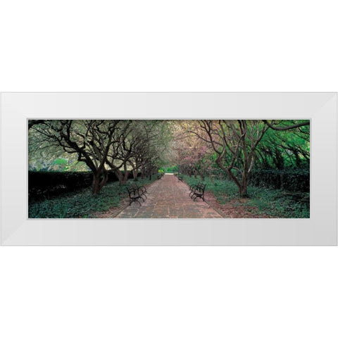 Through Conservatory Garden Central Park NYC White Modern Wood Framed Art Print by Berenholtz, Richard