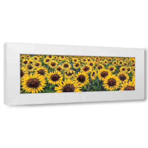 Girasoli White Modern Wood Framed Art Print by Marzari, Tebo