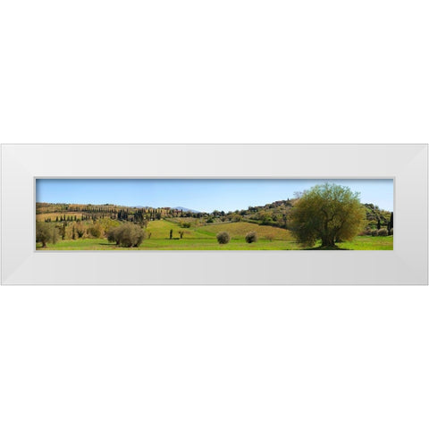 Val dOrcia-Siena-Tuscany White Modern Wood Framed Art Print by Pangea Images