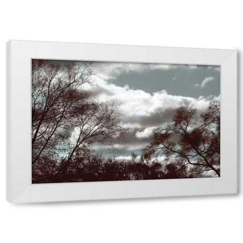 Looking Upward White Modern Wood Framed Art Print by Romita, Denise