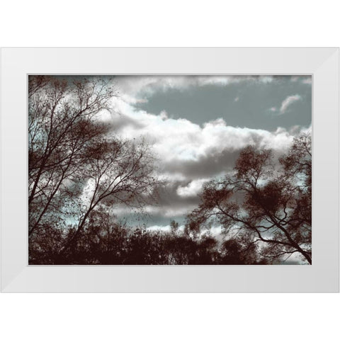 Looking Upward White Modern Wood Framed Art Print by Romita, Denise