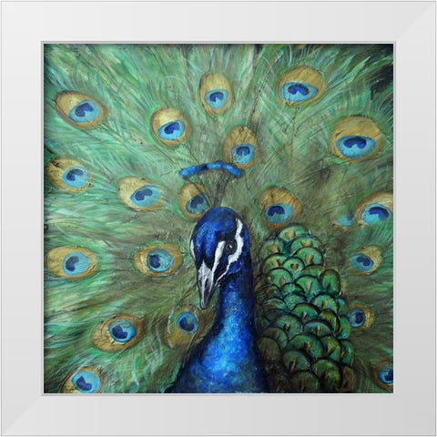 Painted Peacock White Modern Wood Framed Art Print by Tre Sorelle Studios