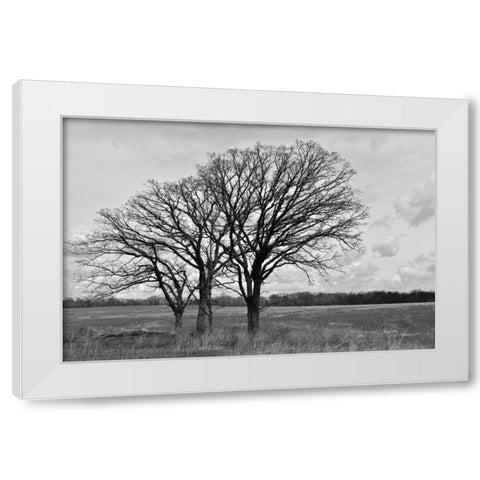 Standing Together White Modern Wood Framed Art Print by Romita, Denise