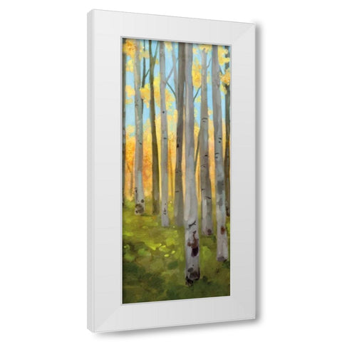 Birch Woods Panel II White Modern Wood Framed Art Print by Milan, Vittorio