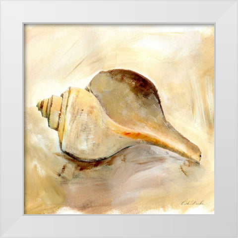 Painted Seashells III  White Modern Wood Framed Art Print by Dundon, Caitlin