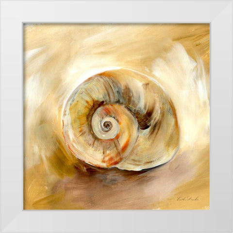 Painted Seashells V  White Modern Wood Framed Art Print by Dundon, Caitlin