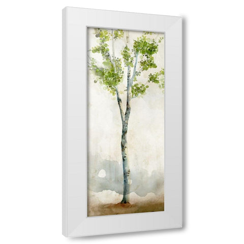 Watercolor Birch Trees I  White Modern Wood Framed Art Print by Milan, Vittorio