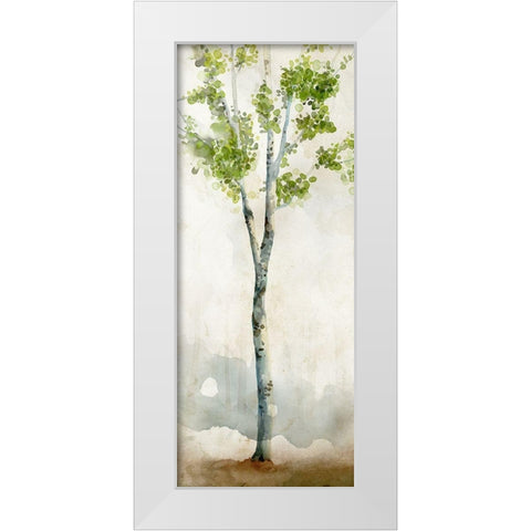 Watercolor Birch Trees I  White Modern Wood Framed Art Print by Milan, Vittorio