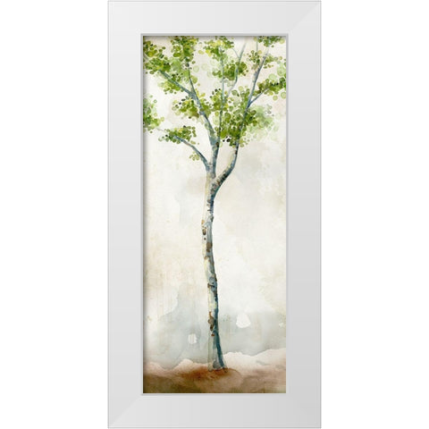 Watercolor Birch Trees II White Modern Wood Framed Art Print by Milan, Vittorio