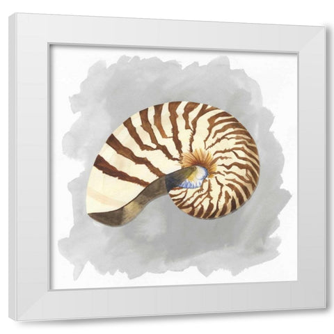Shells on Grey III White Modern Wood Framed Art Print by Reed, Tara