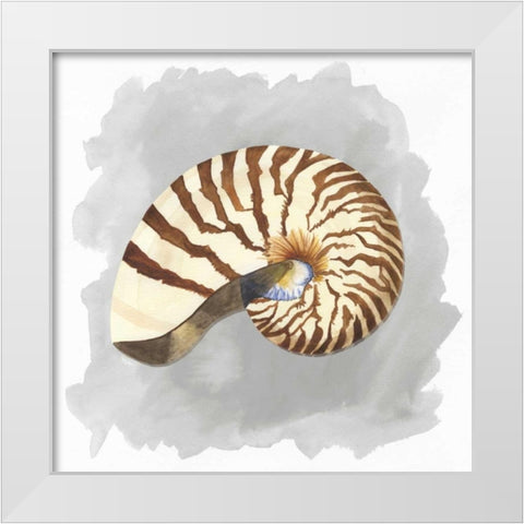 Shells on Grey III White Modern Wood Framed Art Print by Reed, Tara