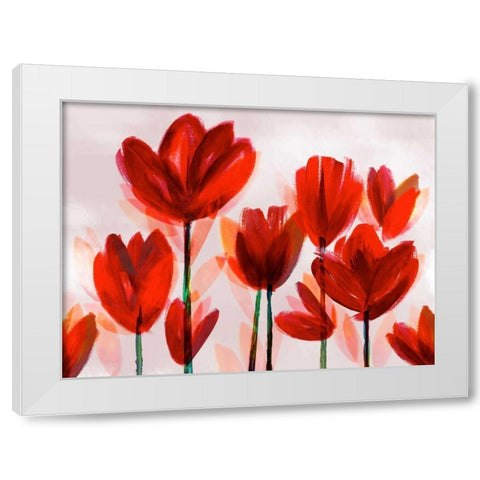 Contemporary Poppies Red White Modern Wood Framed Art Print by Northern Lights