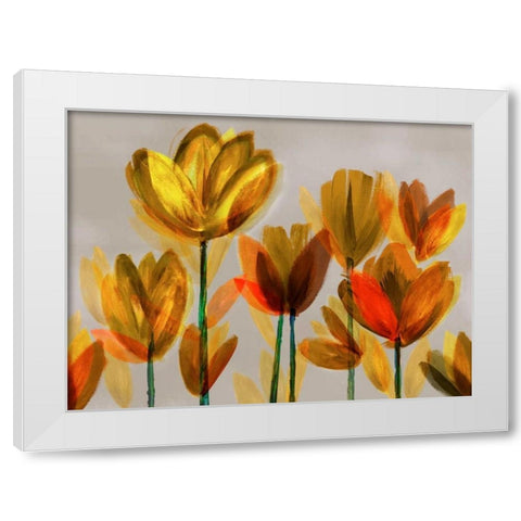 Contemporary Poppies Yellow White Modern Wood Framed Art Print by Northern Lights