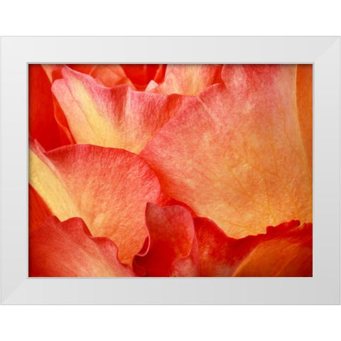 Fire  White Modern Wood Framed Art Print by Michal, Susan