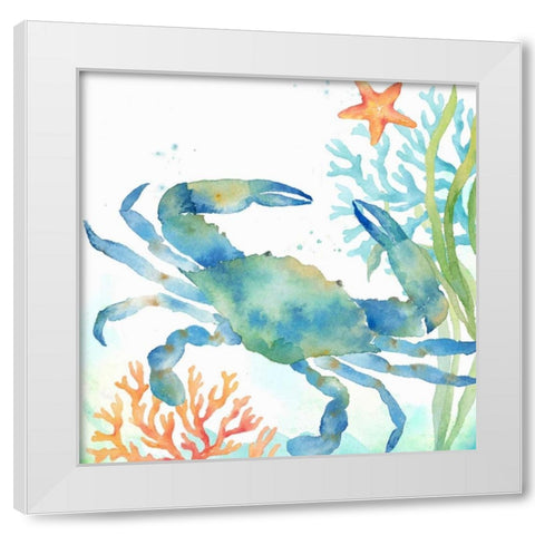 Sea Life Serenade II White Modern Wood Framed Art Print by Coulter, Cynthia