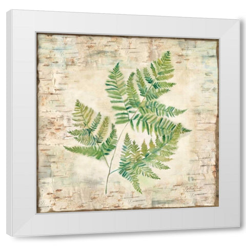 Birch Bark Ferns I White Modern Wood Framed Art Print by Coulter, Cynthia