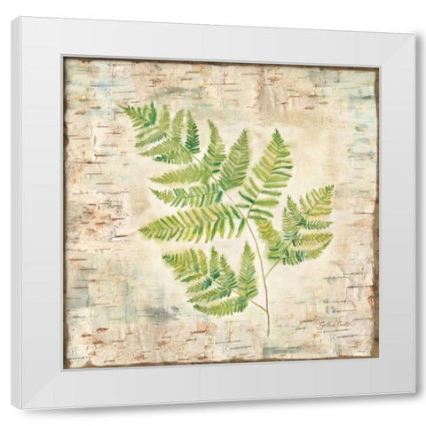 Birch Bark Ferns II White Modern Wood Framed Art Print by Coulter, Cynthia