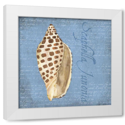 Oceanum Shells Blue II White Modern Wood Framed Art Print by Reed, Tara