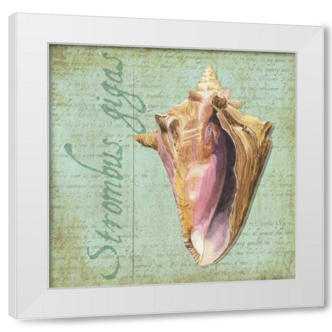 Oceanum Shells Green I White Modern Wood Framed Art Print by Reed, Tara