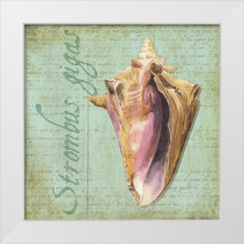 Oceanum Shells Green I White Modern Wood Framed Art Print by Reed, Tara