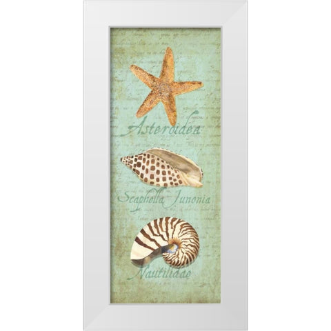 Oceanum Shell Panel Green II White Modern Wood Framed Art Print by Reed, Tara