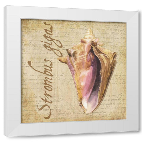 Oceanum Shells Beige I White Modern Wood Framed Art Print by Reed, Tara