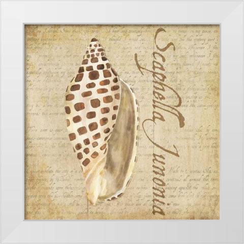 Oceanum Shells Beige II White Modern Wood Framed Art Print by Reed, Tara