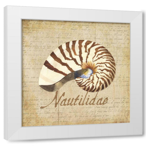 Oceanum Shells Beige III White Modern Wood Framed Art Print by Reed, Tara