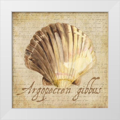 Oceanum Shells Beige V White Modern Wood Framed Art Print by Reed, Tara